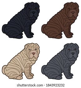 Vektorgrafik. Handzeichnung Kunst. Shar Pei dog. Cartoon-Charakter. Realistisches Design.