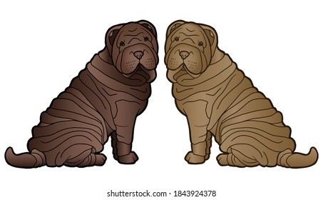 Vector illustration. Hand drawing art. Shar Pei dog. Cartoon character. Realistic design.