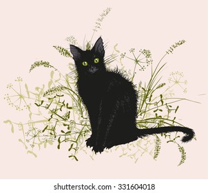 Vector illustration. Hand drawing of a black cat in a withered grass. On a white background.