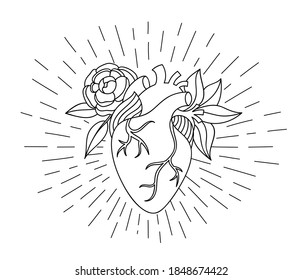 Vector illustration with hand drawing blooming human heart for Valentines day or halloween. Engraving line heart