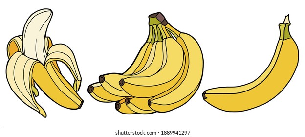 two cartoon monkeys with bananas