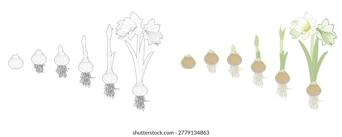 Vector illustration  Hand