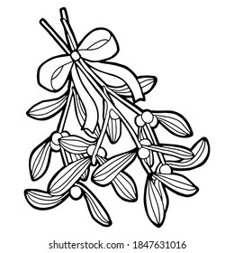 Vektorgrafik. Handzeichnung Weihnachtskunst. Festliche Dekoration. Farbseite. Minimalistische Linienkunst. Zweig des Misteloe mit einer Schleife.