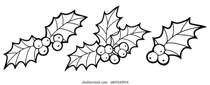 Vector illustration. Hand drawing Christmas art. Festive decorations. Coloring page. Minimalistic line art. Holly leaves.