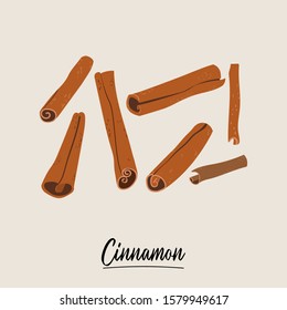 vector illustration hand drawing of cinnamon