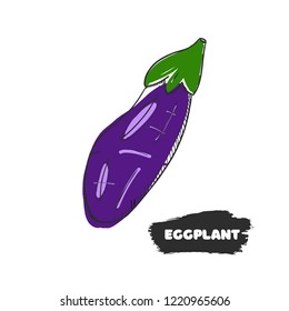 Vector illustration of hand drawing eggplant on white background