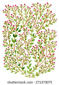 vector illustration hand drawing, green bush with red berries