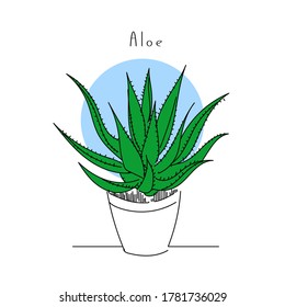 vector illustration hand drawing linear and color indoor plant aloe vera with spiny leaves