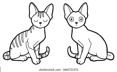 Vector illustration. Hand drawing lineart. Two cute kittens. Spotted cat. Coloring page. Realistic design. The cat expresses surprise.