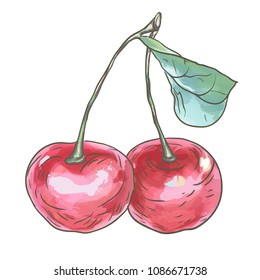 Vector illustration. The hand drawing is made on a digital graphic tablet. Ripe cherries.