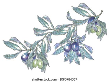 Vector illustration. The hand drawing is made on a digital graphic tablet. Plums on the branch.