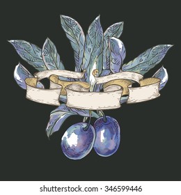 Vector illustration. Hand drawing on a graphic tablet.Plums with leaves in ribbons.