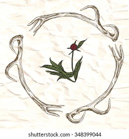 Vector illustration. Hand drawing on a graphic tablet.Antlers and red peony.
