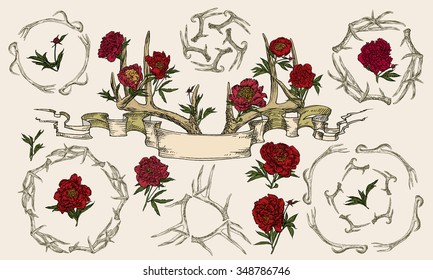 Vector illustration. Hand drawing on a graphic tablet.Antlers and peonies entwined ribbon.