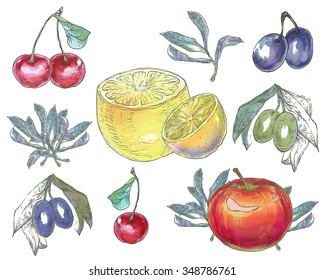 Vector illustration. Hand drawing on a graphic tablet.Set of fruits.