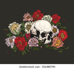 Vector illustration. Hand drawing on a graphic tablet.Human skull in colorful peonies on a dark background.