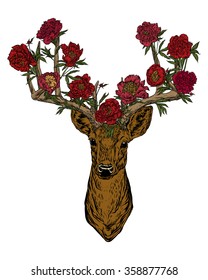 Vector illustration. Hand drawing on a graphic tablet.Horned deer with peonies .On a  white background.