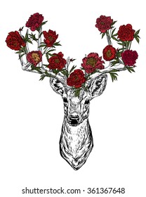 Vector illustration. Hand drawing on a graphic tablet.Horned deer with peonies .On a  white background.