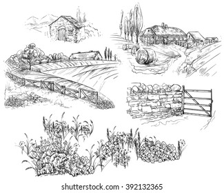 Vector illustration. Hand drawing on a graphic tablet.Rural landscape with fences, houses and farm.