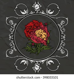 Vector illustration. Hand drawing on a graphic tablet. Peony in a vintage frame.On a gray background.
