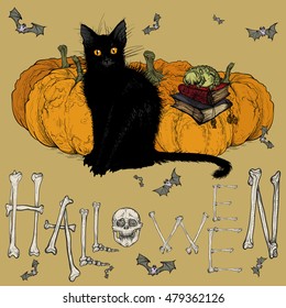 Vector illustration. Hand drawing on a graphic tablet.Halloween picture with a black cat and pumpkins.On a light background.