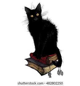 Vector illustration. Hand drawing on a graphic tablet. Devil black cat sitting on magical books.