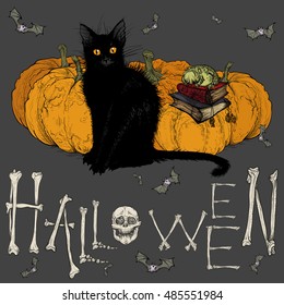 Vector illustration. Hand drawing on a graphic tablet. Halloween picture with a black cat and pumpkins.