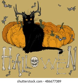 Vector illustration. Hand drawing on a graphic tablet. Halloween picture with a black devil cat and pumpkins.