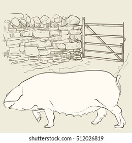 Vector illustration. Hand drawing on a graphic tablet.Big pig at gate.