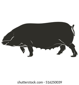 Vector illustration. Hand drawing on a graphic tablet. Template pig.