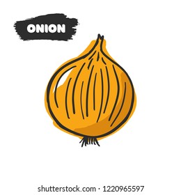 Vector illustration of hand drawing onion on white background