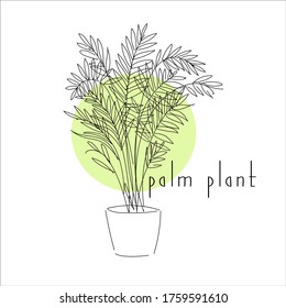 vector illustration hand drawing palm decorative home plant linear contour  drawing