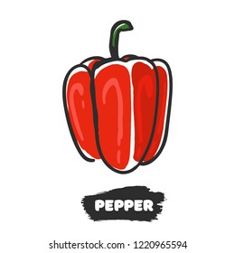 Vector illustration of hand drawing pepper on white background