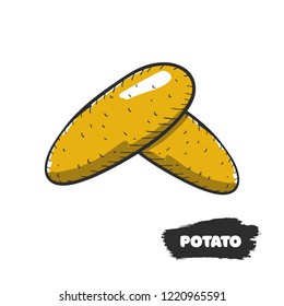 Vector illustration of hand drawing potato on white background