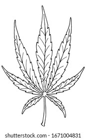  Ilustración vectorial. Dibujo manual. Hojas de marihuana. Página de color cannabis. Aislado sobre un blanco.