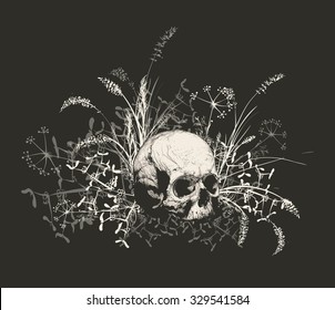 Vector illustration. Hand drawing of a skull surrounded by a field of grass. On a dark background.