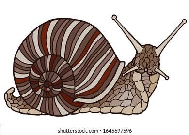 Vector illustration Hand drawing snails. Isolated on white. Cute snail with a striped shell. The original print. Illustration for the children's book.