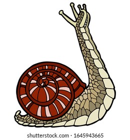 Vector illustration Hand drawing snails. Isolated on white. Cute snail with a red striped shell. The original print. Illustration for the children's book.