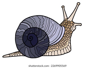 Vector illustration Hand drawing snails. isolated on white. Cute snail with a blue shell. The original print. Illustration for the children's book.