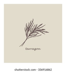 Vector illustration. Hand drawing style. Sketch with tarragon.