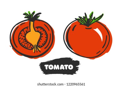 Vector illustration of hand drawing tomato on white background