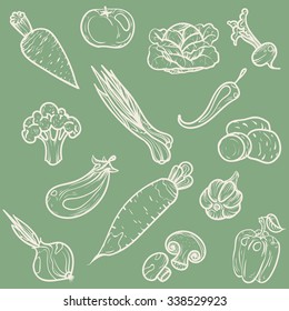 Vector illustration. Hand drawing vegetables on the green background.