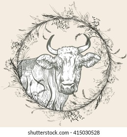Vector illustration. Hand drawing.Cow with a wreath of herbs.