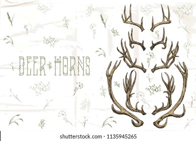 Vector illustration. Hand drawing.Deer horns.