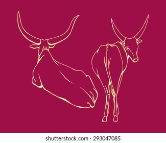 Vector illustration of hand drawn african cows watusi lying on the ground and standing, both back view. Ink drawing of beautiful horned animals that symbolizes Africa. 