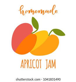 Vector illustration of hand drawn apricots with brush lettering text Homemade Apricot Jam for jam package design, card, poster, print, banner
