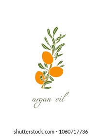 Vector Illustration Of Hand Drawn Argan Tree Branch With Fruit. Beautiful Design Elements, Ink Drawing, Logo Template