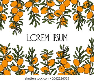 Vector illustration of hand drawn Argan tree branches with fruit. Beautiful design elements, ink drawing, logo template