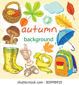 The vector illustration "hand drawn autumn collection" for design