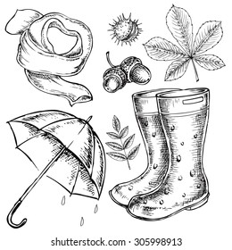 The vector illustration "hand drawn autumn" for design
